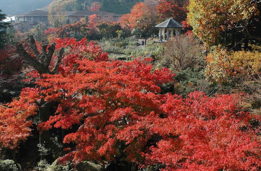 Suikoukan Hakone Exteriör bild